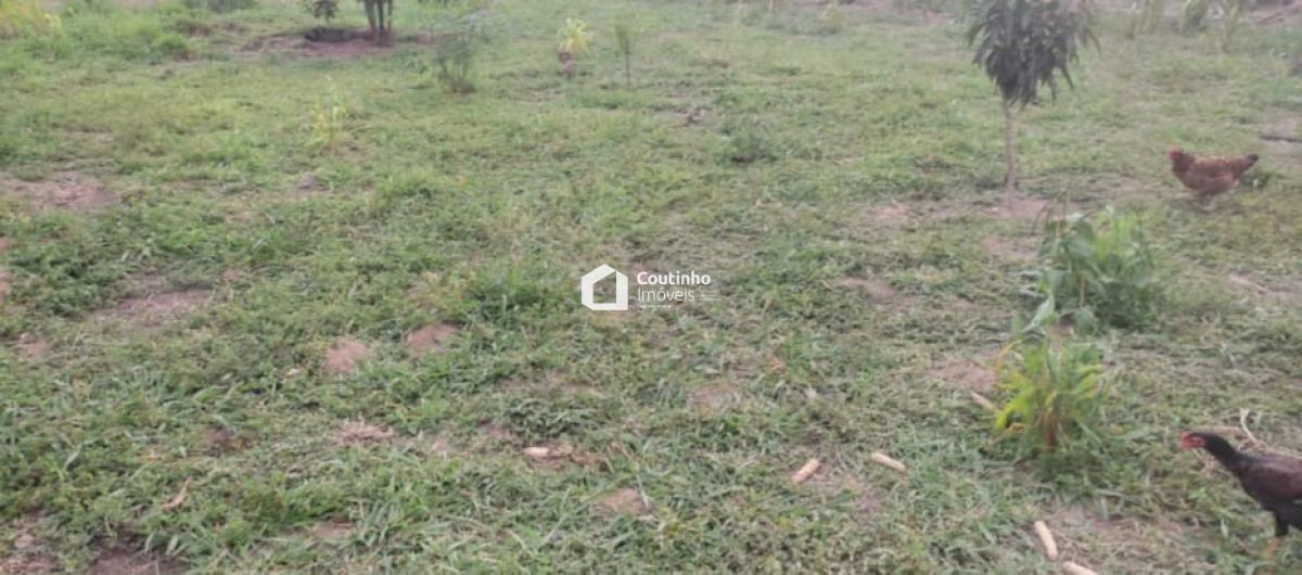 WhatsApp Image 2026-04-20 at 15.51.01 (3).jpeg